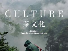 -何九海南茶店(鬼仔巷店)