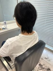 点击看大图 -京世沙龙