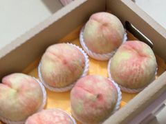 -老袁家蜜桃农场·阳山水蜜桃