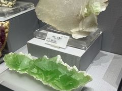 -湖南省地质博物馆