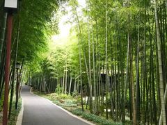 -穹窿山景区
