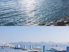 -深圳湾公园(南山区)