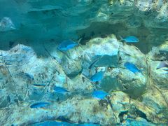 -海合安青岛极地海洋公园