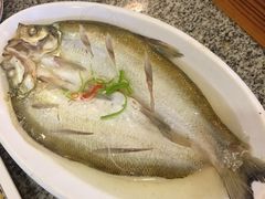 -沈厅酒家(周庄店)