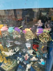 -新时模型(新街口店)