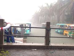 茂名森林公园-广东茂名森林公园