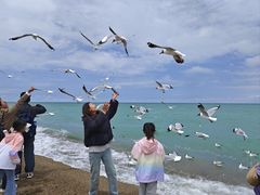 -青海湖国家重点风景名胜区
