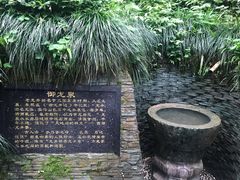 -十八棵（老龙井）御茶园(老龙井店)