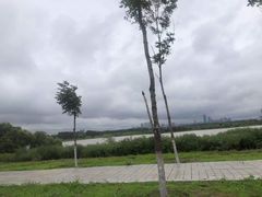 -哈尔滨大剧院