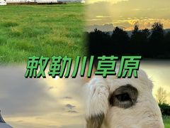 -敕勒川草原