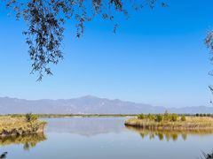 -野鸭湖国家湿地公园