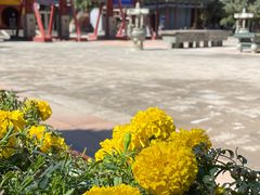 -张掖大佛寺景区