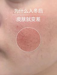 -薇薇安花系SPA