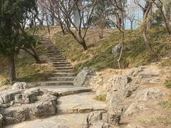 -团结湖公园