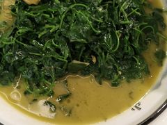 河蚌秧草-焰鱼(昌建广场店)