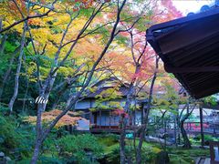 -常寂光寺