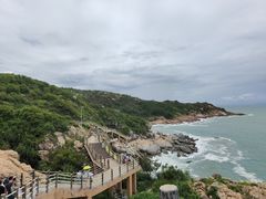 -广东惠东海龟国家级自然保护区