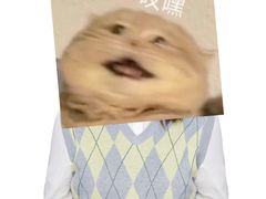 -HIMO海马体照相馆(杭州西溪印象城店)