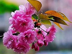 -多乐之日(田林东路店)