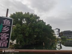 -乌镇东栅景区