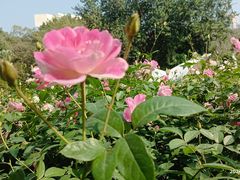 -人民公园(罗湖区)