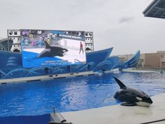 -上海海昌海洋公园