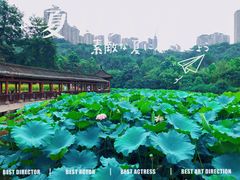 -龙头寺公园