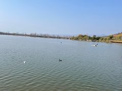 -西昌邛海湿地