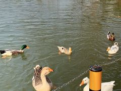 -J Create城市露营咖啡·简餐·宠物(上海动物园店)