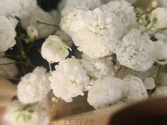 -循礼门鲜花花市(武汉循礼门店)