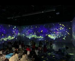 -小鸡哆哆故事屋·儿童乐园(嘉里城店)