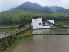 -泽雅景区