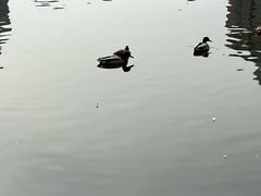 -团结湖公园