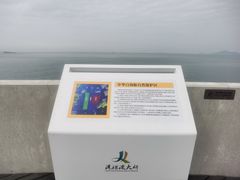 -港珠澳大桥(珠海段)