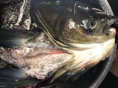 -好灶头妈妈菜·柴火灶台鱼·千岛湖土菜地标美食
