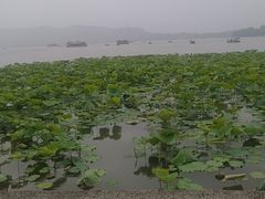 -西湖游船