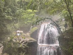 -牛背梁国家森林公园