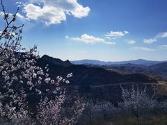 -妙峰山风景名胜区