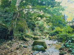 -雁荡山风景名胜区