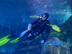 -太平洋海底世界