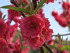 -白马涧龙池景区