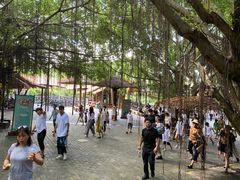 -海南槟榔谷黎苗文化旅游区