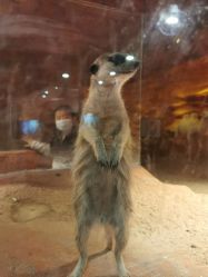 -酷嗒动物文化乐园(cutezoo西溪乐天城店)