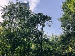 景点-西北湖绿化广场