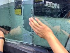 -利美特•威固V-KOOL双膜(杨浦授权店)