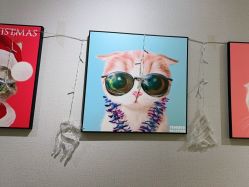 -洗脸猫·洗脸吧