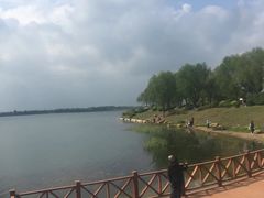 -丁香湖公园