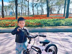 -芒洲湿地公园