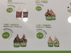-Salud撒露欧洲冻酸奶(五道口购物中心店)