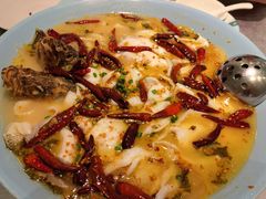 -姚姚酸菜鱼·金戈戈香港豉油鸡(喜荟城联名店)